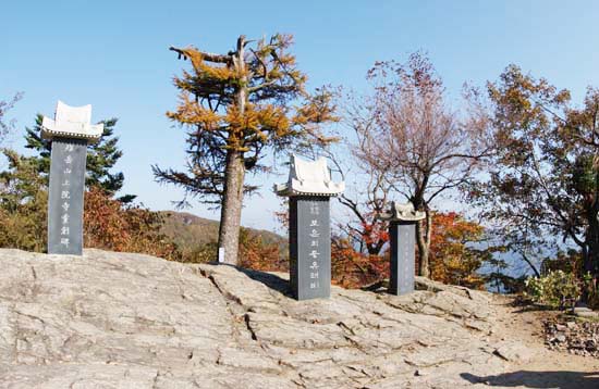 용마바위 위에 '보은의종유래비'가 있고 뒤쪽으로 계수나무가 보인다. 